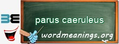 WordMeaning blackboard for parus caeruleus